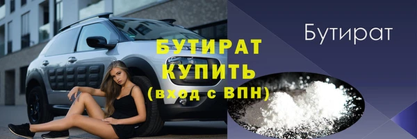 индика Архангельск